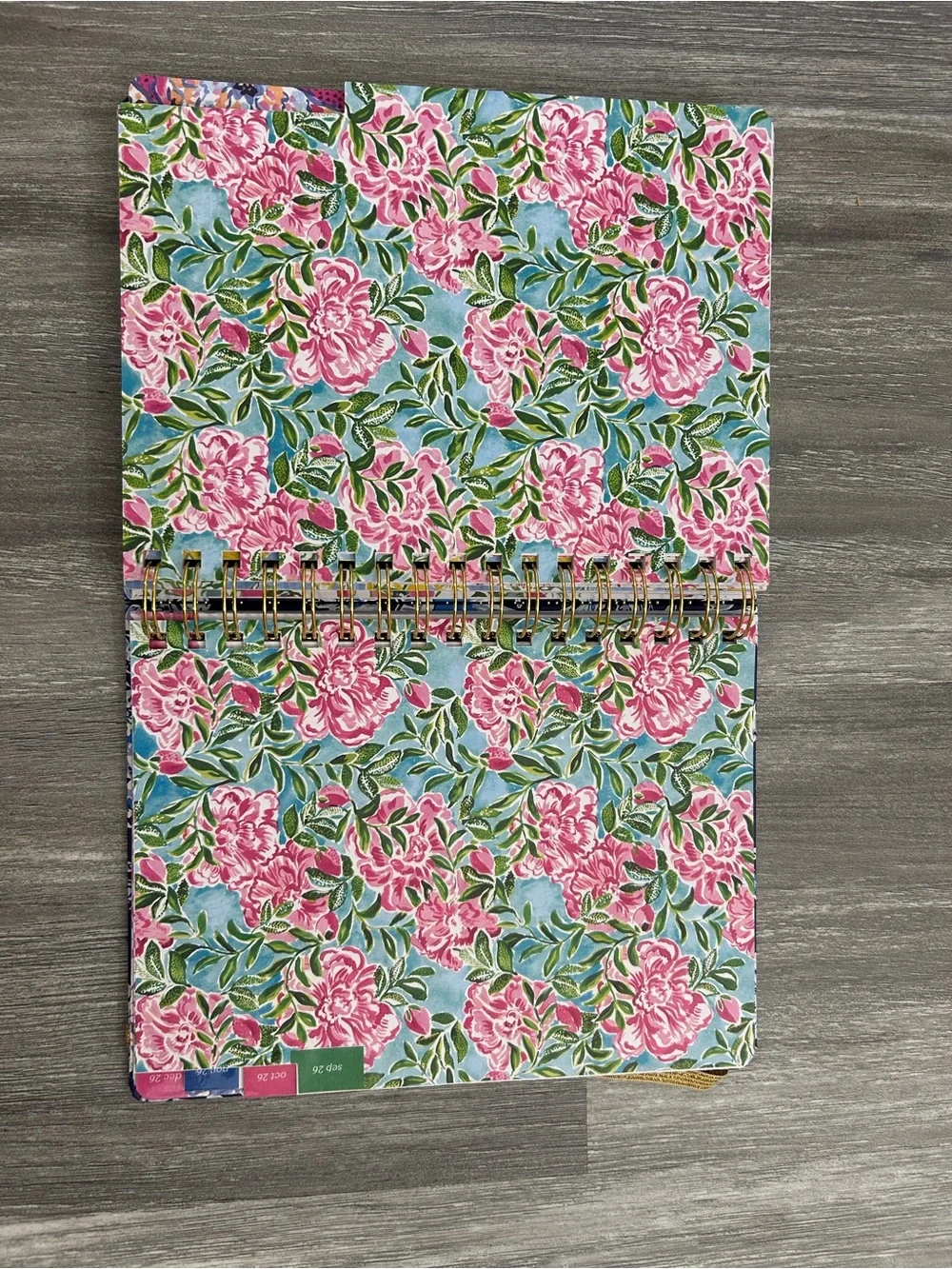 NWT Lilly Pulitzer 17 month agenda 2025 / 2026